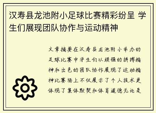 汉寿县龙池附小足球比赛精彩纷呈 学生们展现团队协作与运动精神