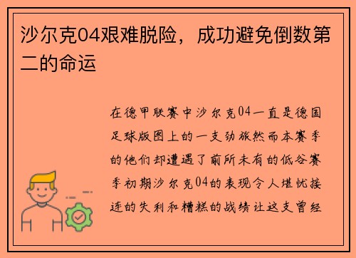 沙尔克04艰难脱险，成功避免倒数第二的命运