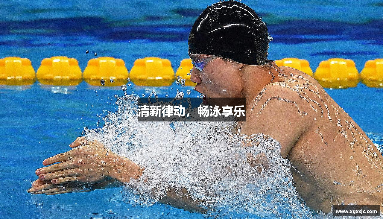 必博bibo体育
